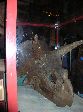036_2009-0119-1120-10.jpg
